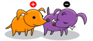 <p><strong>Fig. 2.23.</strong>&nbsp;(<strong>C</strong>) The puppy with no bone follows the thief puppy around.</p>
