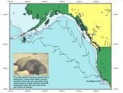 <p><strong>Fig. 6.22.</strong> (<strong>A</strong>) Map illustrating the movements of a male northern elephant seal (<em>Mirounga </em><em>angustirostris</em>) wearing a time-depth recorder</p>
