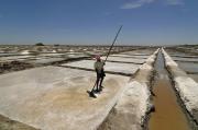 <p><strong>SF Fig. 2.6&nbsp;</strong>(<strong>B</strong>) Raking the top of the salt ponds in Marakkanam in Tamil Nadu, India.</p>