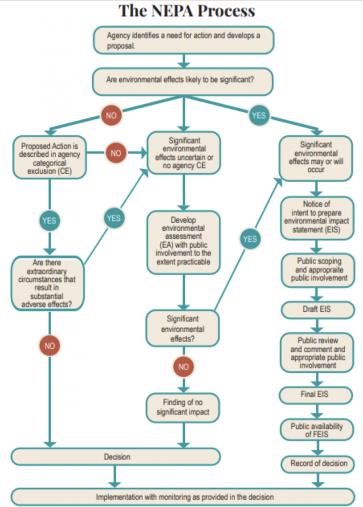 Decision tree for NEPA process