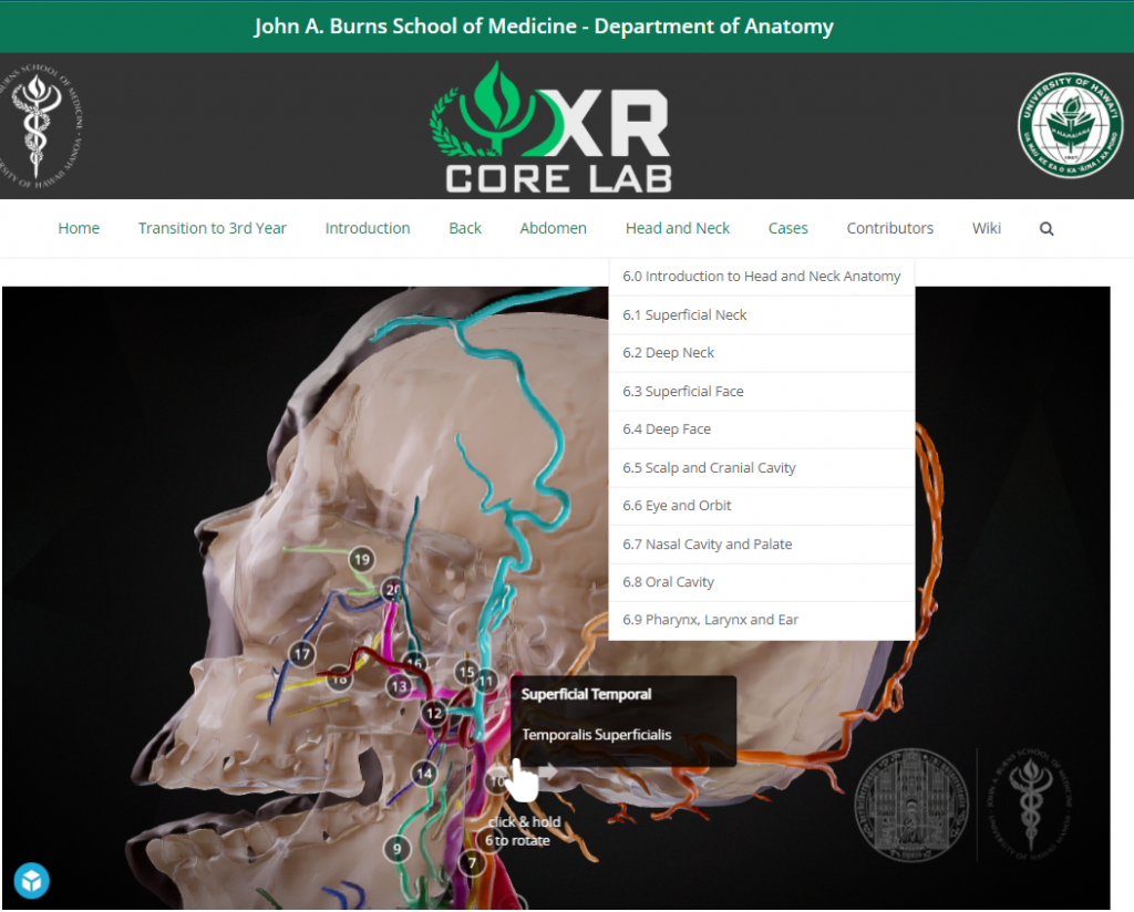 Screenshot of John A. Burns School of Medicine Department of Anatomy website 