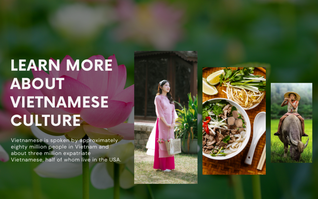 Vietnamese home page sample