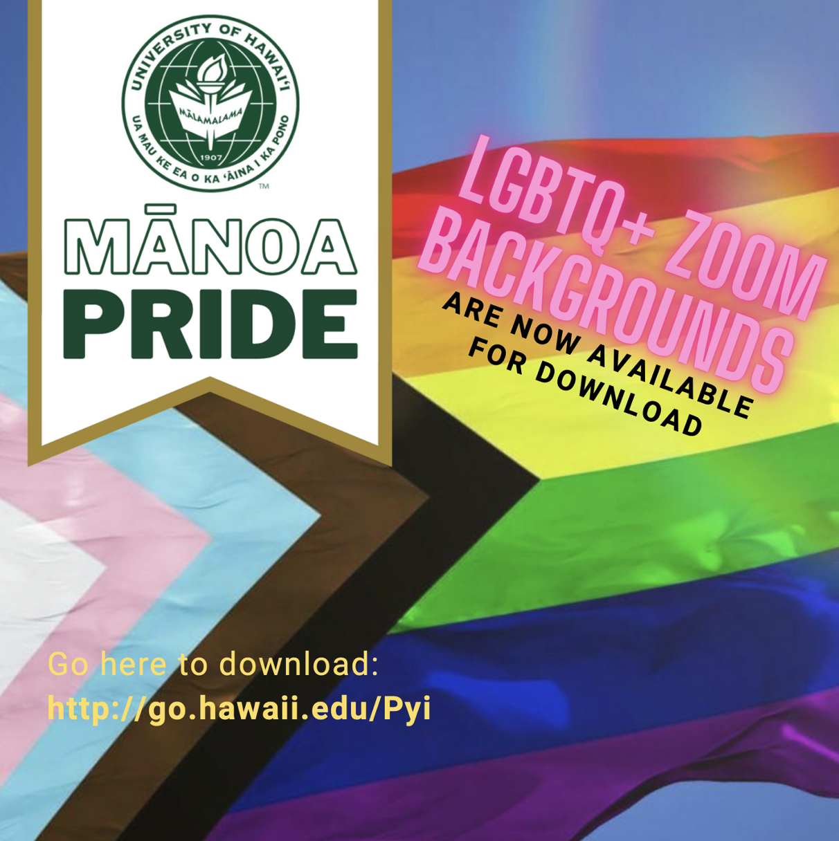 Manoa Pride backgrounds available for download - rainbow colors screen shot