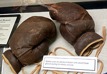 A Documented Life: The Papers of Hawaii's Senator Spark M. Matsunaga Boxing Gloves