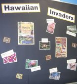 Hawaiian Invaders Exhibit Image