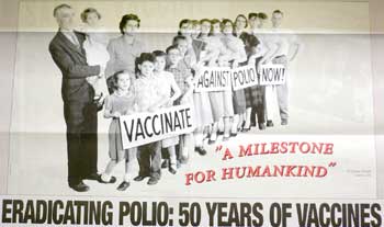 Polio Revisited Poster