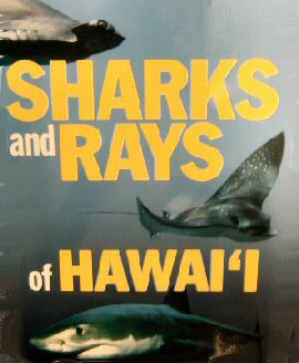 Sharks and Rays of Hawaii Book Cover