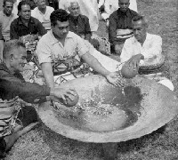 Root's Revival: Kava in the 21st Century Kava BW Picture