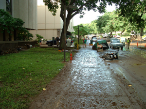 Muddy Sidewalk outside of Hamilton Library