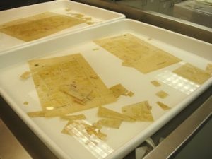 Maps soaking in a tray