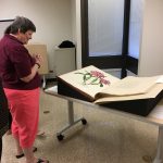 Sharon Harwood looking at a large format rare book with an image of a flowering plant