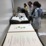 3 attendees viewing large format books laid out on tables
