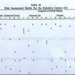 Risk Assessment Matrix for the Kahalu'u Community