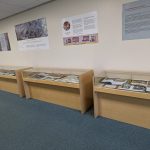 Dunhuang Exhibit display cases