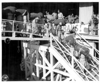 Returning soldiers walk down gangplank