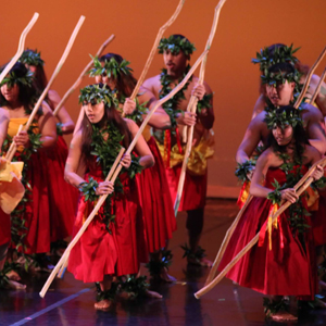 Group of dancers performing hula on stage in traditional garb