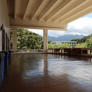 View Mauka From Makai On Upper Lanai