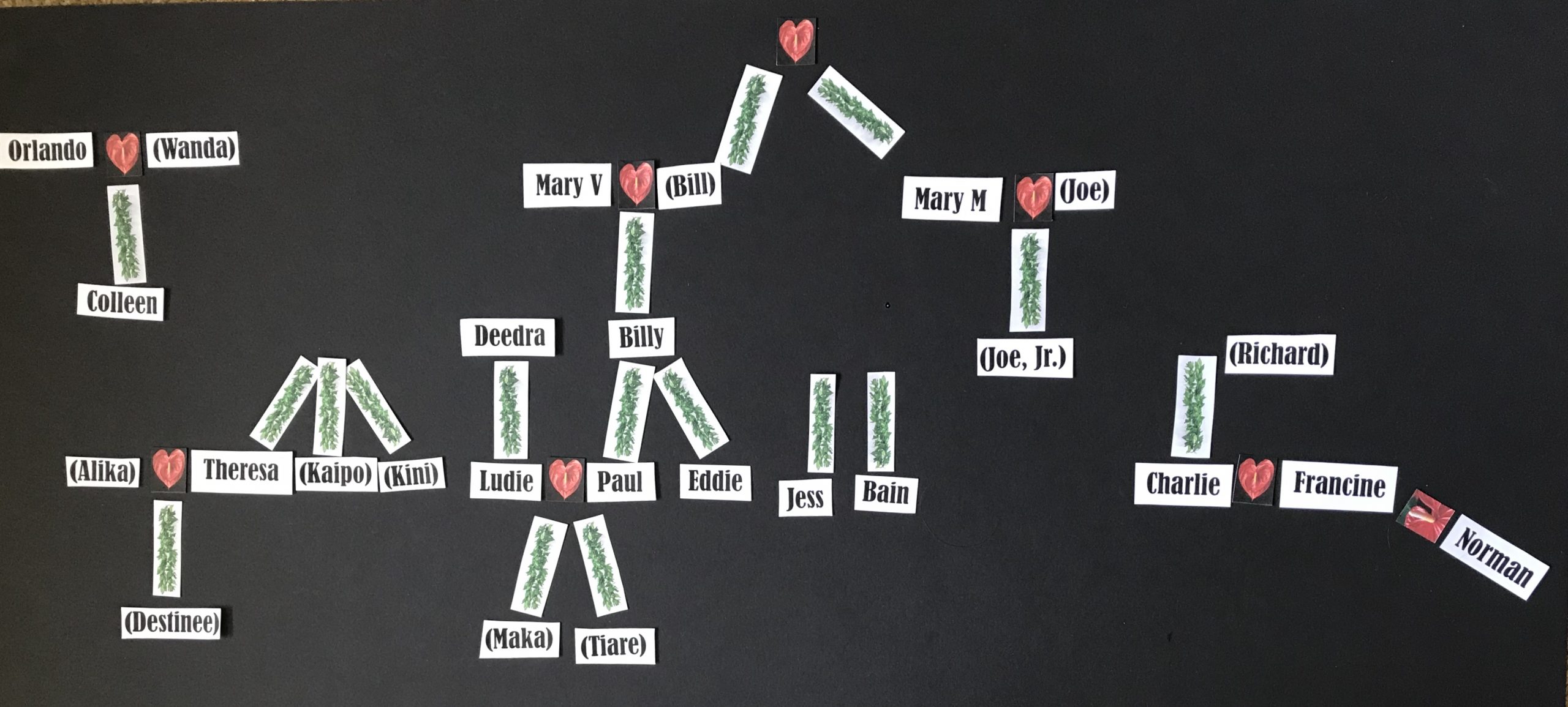 Black background with labels of names and linking green foliage between them to show the family tree of the characters in the play Flowers of Hawai`i. Text on image from left to right by grouping: "Orlando + (Wanda) = Colleen. (Alika + Theresa (Kaipo) (Kini) = Destinee. Mary V + (Bill) = Billy = Paul & Eddie. Deedra = Ludie. Ludie + Paul = (Maka) & (Tiare). Jess. Bain. Mary M. + (Joe) = (Joe, Jr.). (Richard) = Charlie + Francine + Norman
