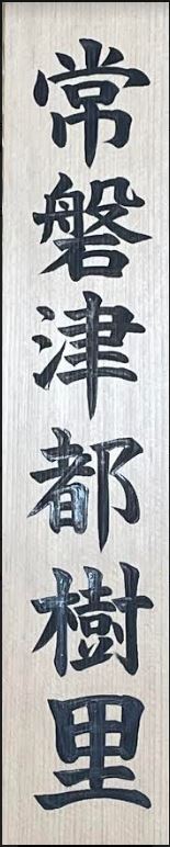 Japanese Characters vertically on a woodblock