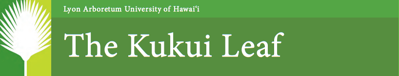Kukui Leaf logo