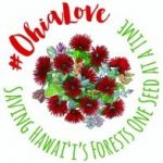 Ohia Love logo