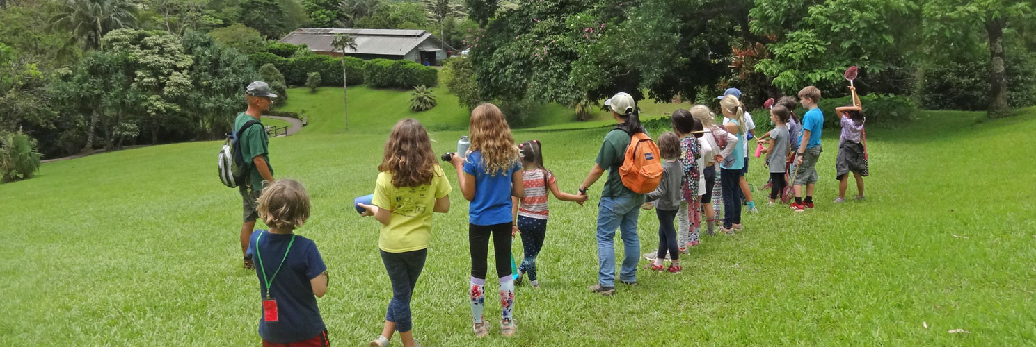 A line of children holding hands and looking expectantly at the grounds