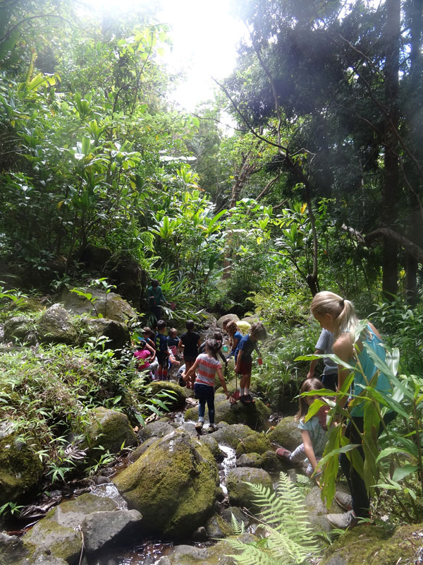 Children explore a forest stream