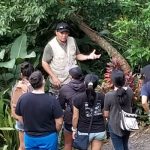 A docent shows a tree to a small group