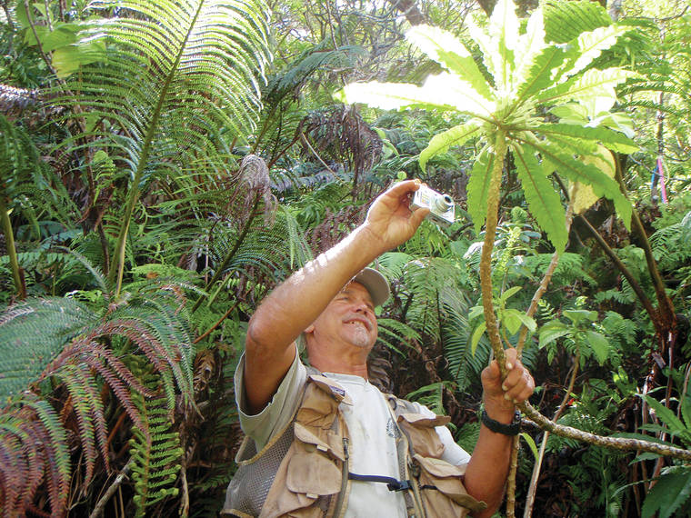 A man smiles as he takes a photograph of a plant