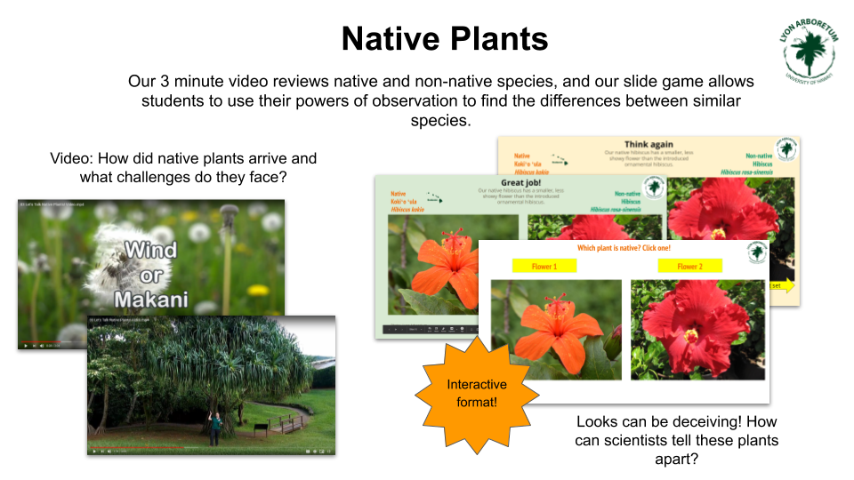 Native Plants. Our 3 minute video reviews native and non-native species, and our slide game allows students to use their powers of observation to find the differences between similar species. Video: how did native plants arrive and what challenges do they face? Looks can be deceiving! How can scientists tell these plants apart? Interactive format