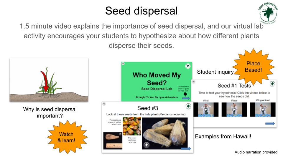 seed dispersal by animals clipart png