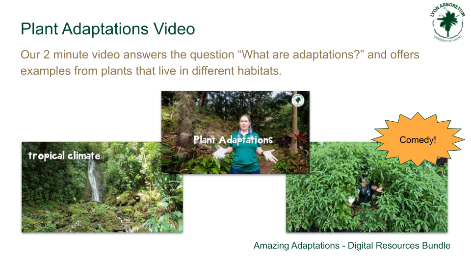 Plant Adaptations Video: Our 2-minute video answers the question "what are adaptations?" and offers examples from plants that live in different habitats.