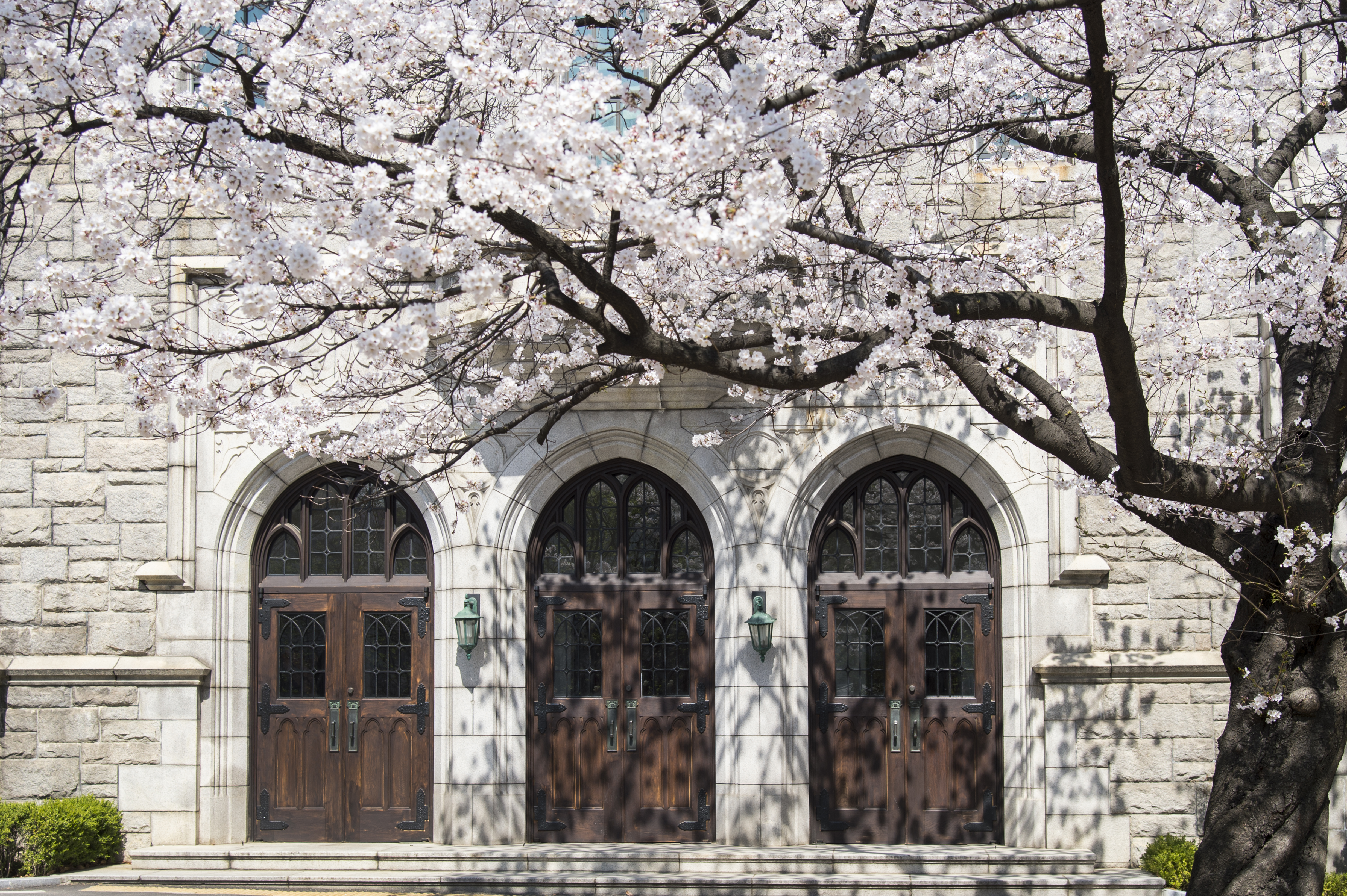 Ewha Womans University Manoa International Exchange