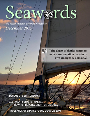 Seawords Cover Dec 2017