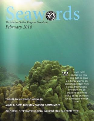 Seawords Cover February 2014