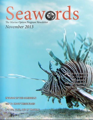 Seawords Cover November 2013
