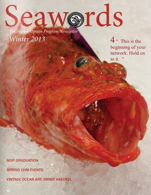 Seawords Cover Winter 2013