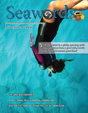 Seawords Cover Nov 2016
