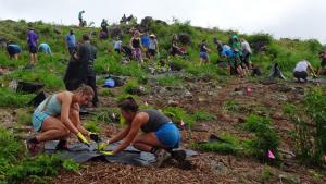 Last October's proof-of-concept event where a record-setting 1,000 trees were planted 