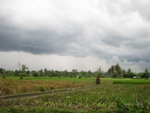 Clouds over Indonesian field. Credit: Wilson Loo, CC BY-NC-ND 2.0.