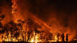 Wildfire in Aberdare, New South Wales, Australia. (Photo credit: Quarrie Photography)