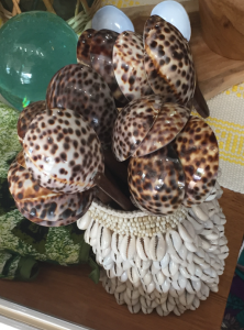 Spoons made of endemic Hawaiian tiger cowries shells at shop in Hawaiʻi Credit: Jan Vicente.