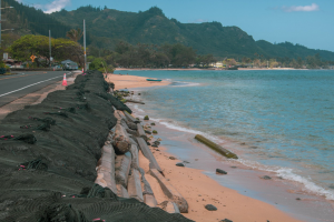 Shoreline hardening protects a road on Oʻahu and has led to beach loss. Credit: K Tavares