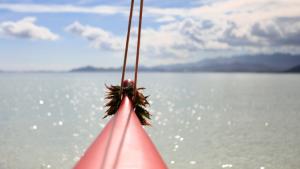Students in the Hawaiʻiloa program study Hawaiian history, mythology, ocean voyaging and more.