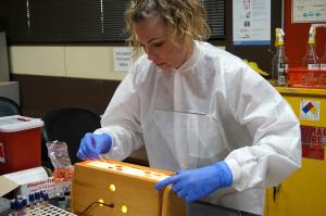 Phlebotomy is one of 70 course offerings.