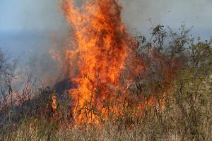 Wildfires are an increasing threat with changes to precipitation and increasing drought (DLNR)