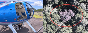 Custom imaging developed for helicopter mapping operations in Hawai‘i. 
