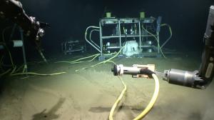 ALOHA Cabled Observatory supports scientific sensors to monitor the deep sea. Credit: ACO/ UHM