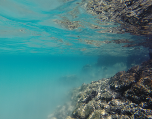 Clear groundwater layer floats over murky ocean water. Credit: Joseph Kennedy 