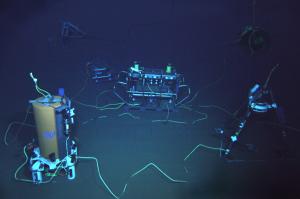 ALOHA Cabled Observatory supports sensors to monitor deep sea off Hawaii. Credit: ACO/ UHM